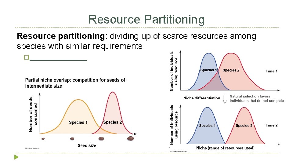 Resource Partitioning Resource partitioning: dividing up of scarce resources among species with similar requirements