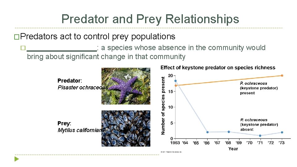 Predator and Prey Relationships �Predators act to control prey populations � _________: a species