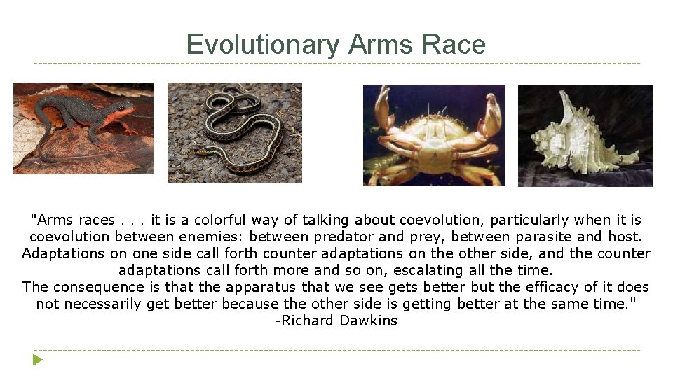 Evolutionary Arms Race "Arms races. . . it is a colorful way of talking