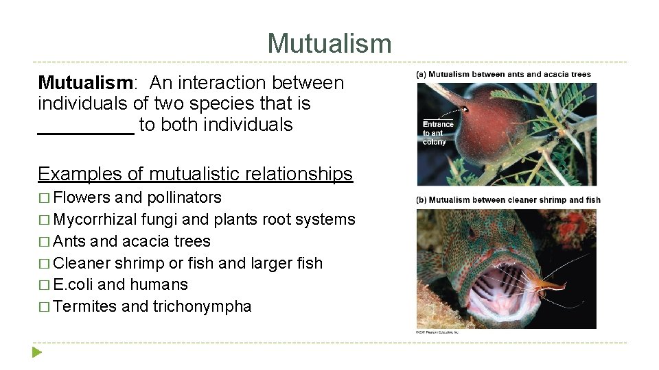 Mutualism: An interaction between individuals of two species that is _____ to both individuals