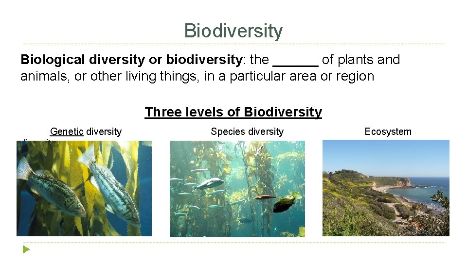 Biodiversity Biological diversity or biodiversity: the ______ of plants and animals, or other living
