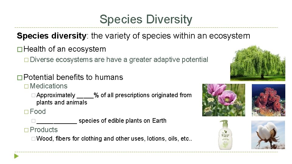 Species Diversity Species diversity: the variety of species within an ecosystem � Health of