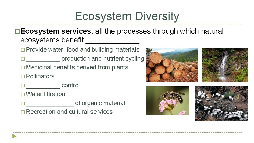 Ecosystem Diversity �Ecosystem services: all the processes through which natural ecosystems benefit _______. �