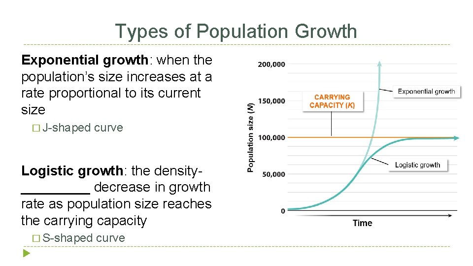 Types of Population Growth Exponential growth: when the population’s size increases at a rate