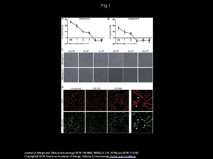 Fig 1 Journal of Allergy and Clinical Immunology 2019 1431892 -1903 DOI: (10. 1016/j.