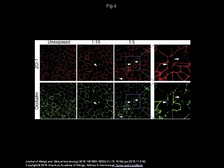 Fig 4 Journal of Allergy and Clinical Immunology 2019 1431892 -1903 DOI: (10. 1016/j.