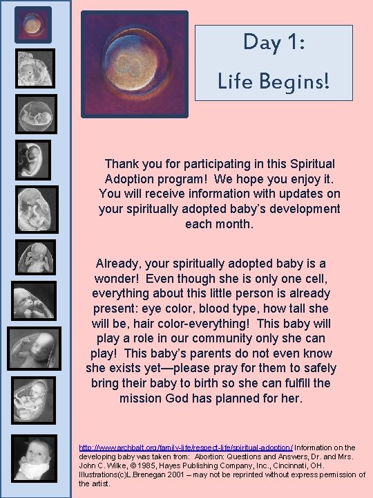 Day 1: Life Begins! Thank you for participating in this Spiritual Adoption program! We