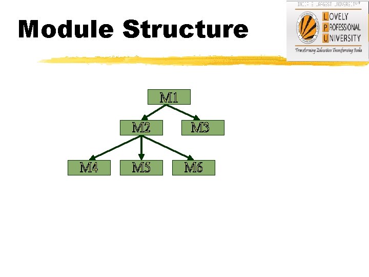 Module Structure 