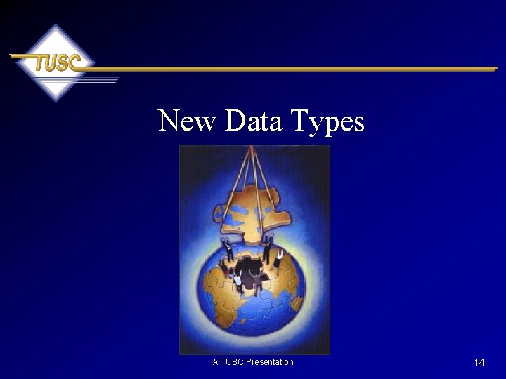 New Data Types A TUSC Presentation 14 