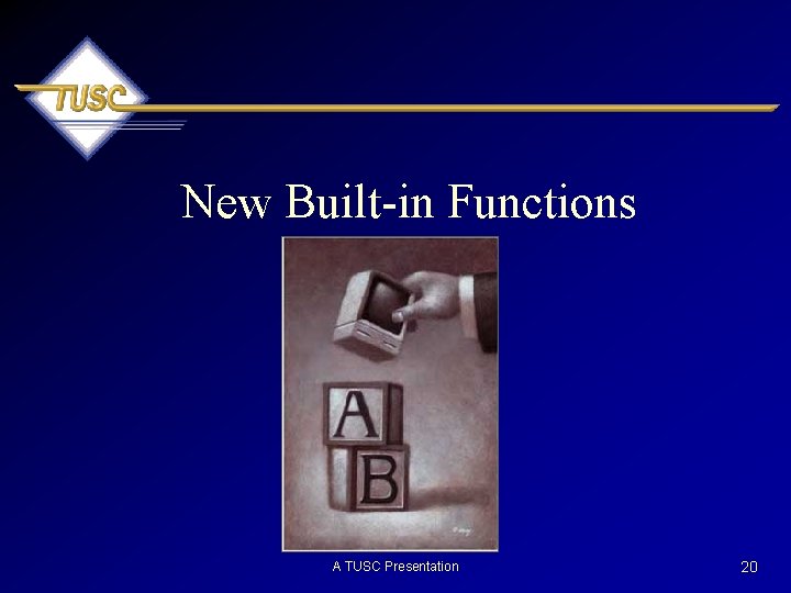 New Built-in Functions A TUSC Presentation 20 