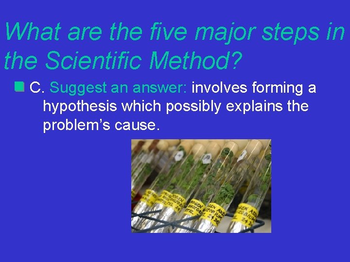 What are the five major steps in the Scientific Method? C. Suggest an answer: