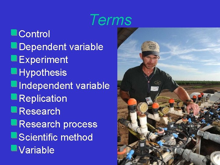 Terms Control Dependent variable Experiment Hypothesis Independent variable Replication Research process Scientific method Variable