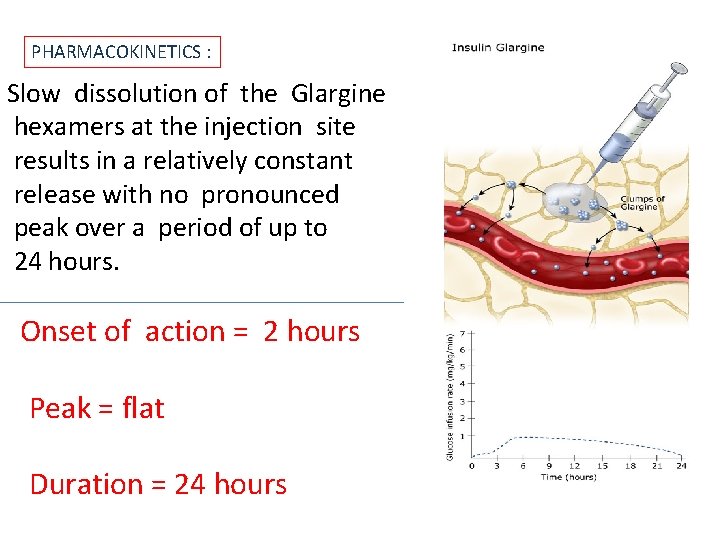 PHARMACOKINETICS : Slow dissolution of the Glargine hexamers at the injection site results in