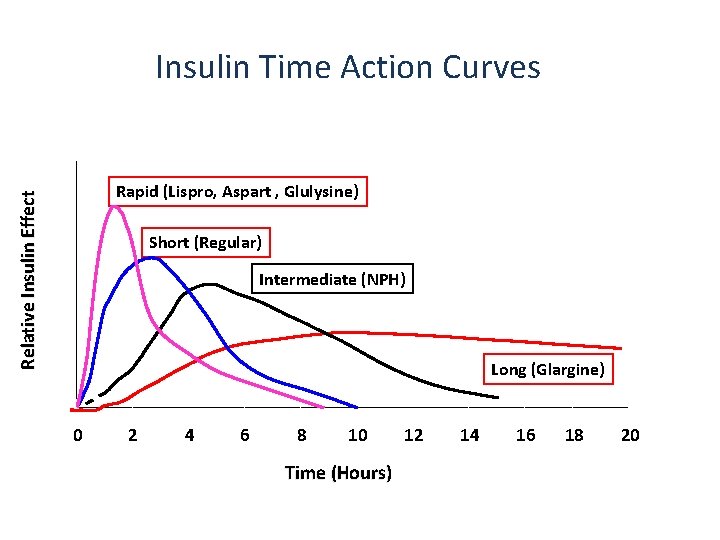 Insulin Time Action Curves Relative Insulin Effect Rapid (Lispro, Aspart , Glulysine) Short (Regular)