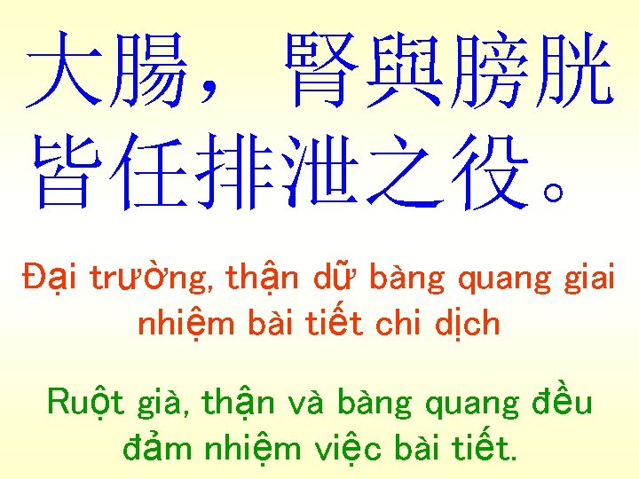 大腸，腎與膀胱 皆任排泄之役。 Đại trường, thận dữ bàng quang giai nhiệm bài tiết chi dịch