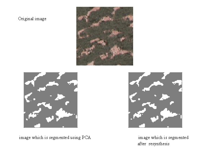 Original image which is segmented using PCA image which is segmented after resynthesis 