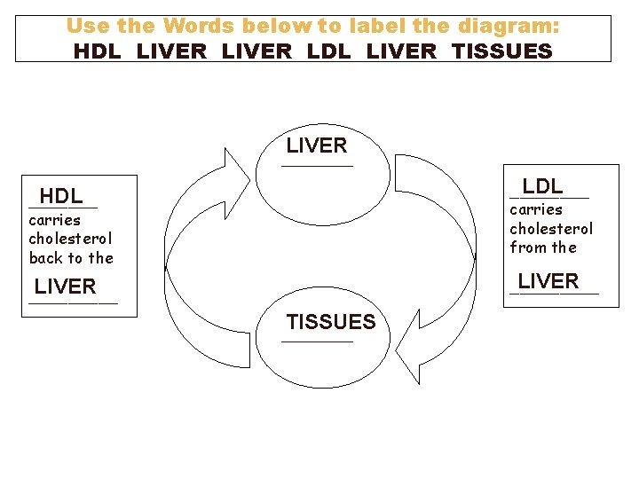 Use the Words below to label the diagram: HDL LIVER LDL LIVER TISSUES LIVER