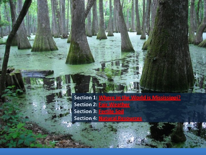 Section 1: Where in the World is Mississippi? Section 2: Fair Weather Section 3: Section 1: Where in the World is Mississippi? Section 2: Fair Weather Section 3:
