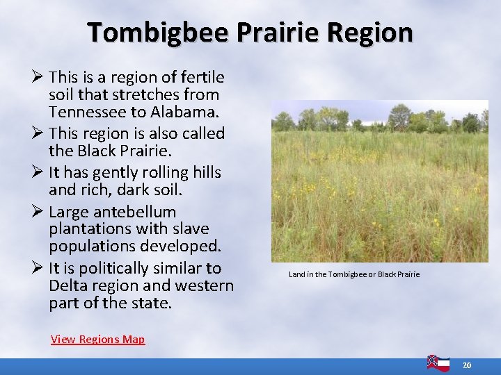 Tombigbee Prairie Region Ø This is a region of fertile soil that stretches from Tombigbee Prairie Region Ø This is a region of fertile soil that stretches from