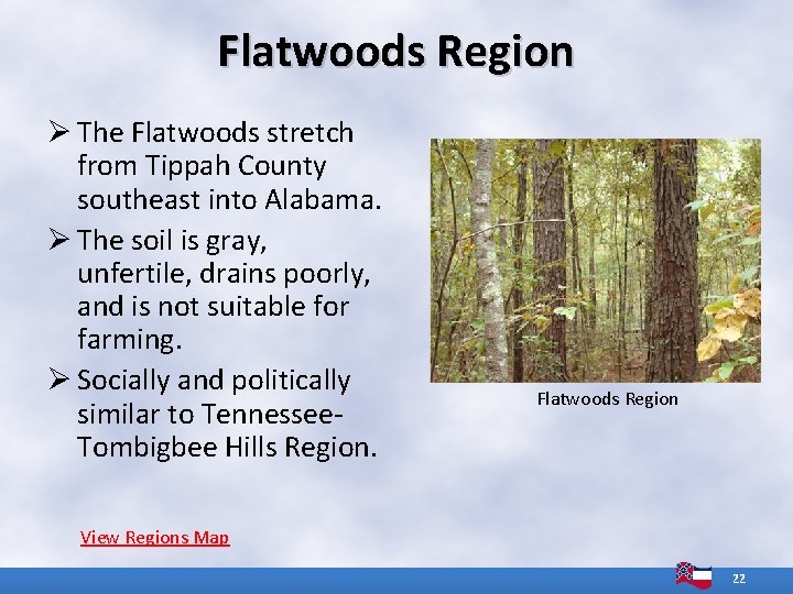 Flatwoods Region Ø The Flatwoods stretch from Tippah County southeast into Alabama. Ø The Flatwoods Region Ø The Flatwoods stretch from Tippah County southeast into Alabama. Ø The