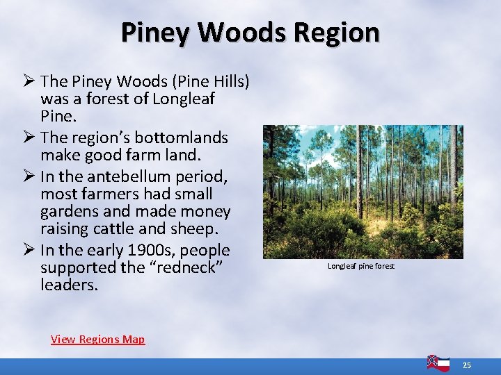 Piney Woods Region Ø The Piney Woods (Pine Hills) was a forest of Longleaf Piney Woods Region Ø The Piney Woods (Pine Hills) was a forest of Longleaf