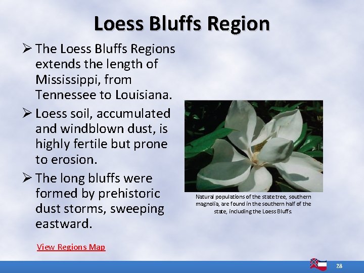 Loess Bluffs Region Ø The Loess Bluffs Regions extends the length of Mississippi, from Loess Bluffs Region Ø The Loess Bluffs Regions extends the length of Mississippi, from