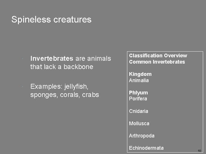 Spineless creatures Invertebrates are animals that lack a backbone Examples: jellyfish, sponges, corals, crabs