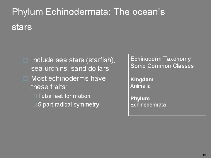 Phylum Echinodermata: The ocean’s stars Include sea stars (starfish), sea urchins, sand dollars �