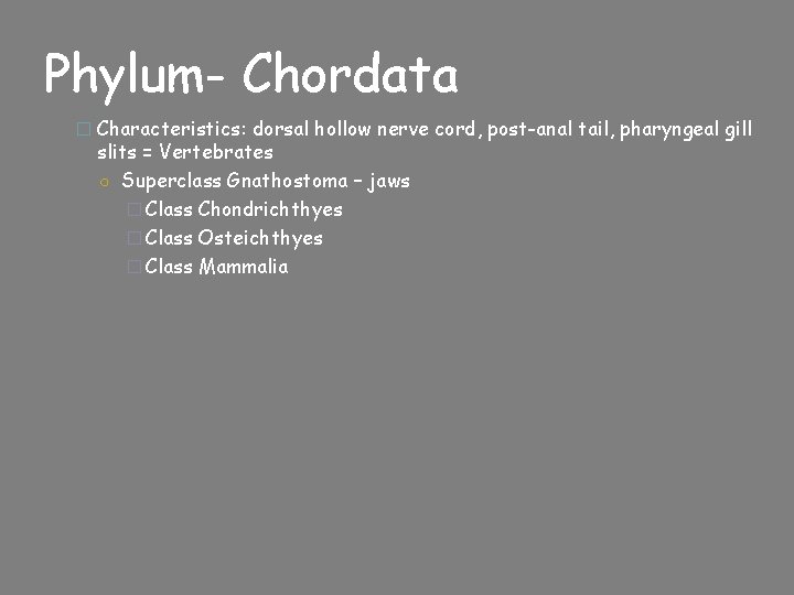 Phylum- Chordata � Characteristics: dorsal hollow nerve cord, post-anal tail, pharyngeal gill slits =