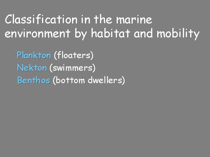 Classification in the marine environment by habitat and mobility Plankton (floaters) Nekton (swimmers) Benthos