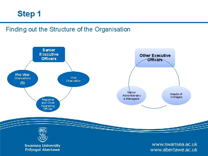 Step 1 Finding out the Structure of the Organisation Senior Executive Officers Pro Vice