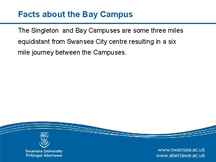 Facts about the Bay Campus The Singleton and Bay Campuses are some three miles