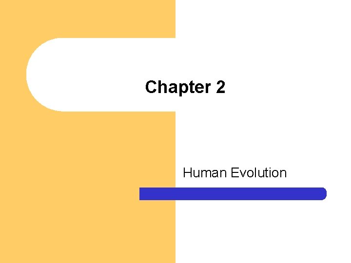 Chapter 2 Human Evolution Chapter 2 Human Evolution