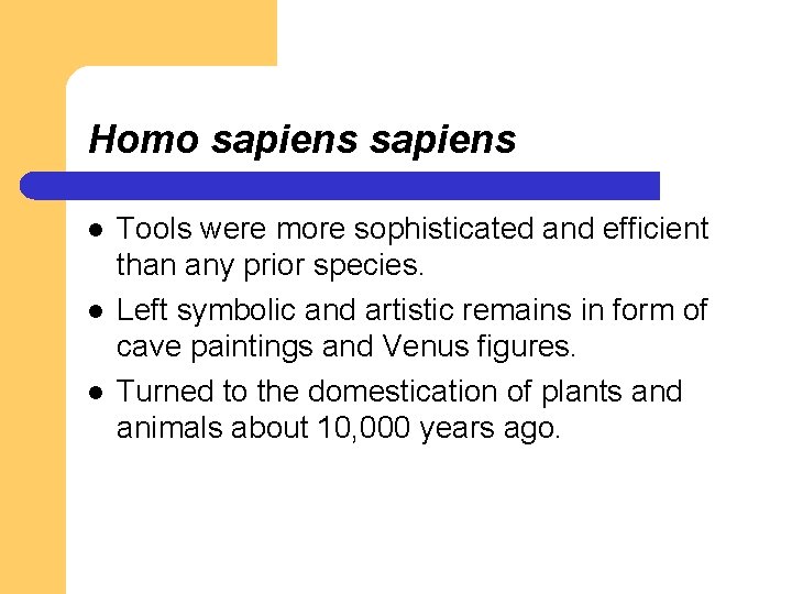 Homo sapiens l l l Tools were more sophisticated and efficient than any prior Homo sapiens l l l Tools were more sophisticated and efficient than any prior