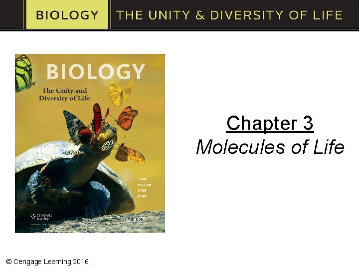 Chapter 3 Molecules of Life © Cengage Learning 2016 