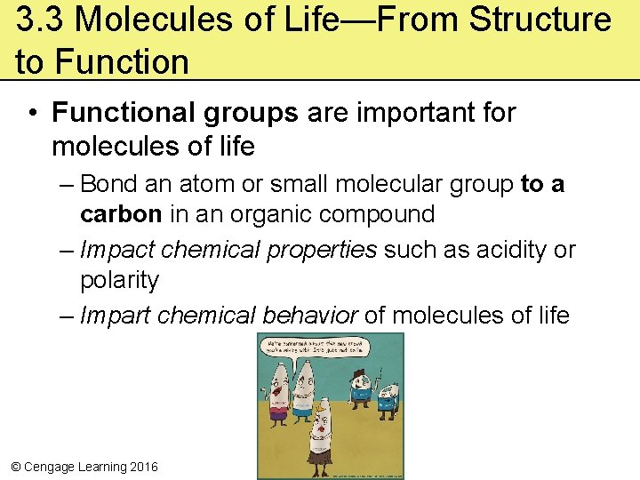 3. 3 Molecules of Life—From Structure to Function • Functional groups are important for