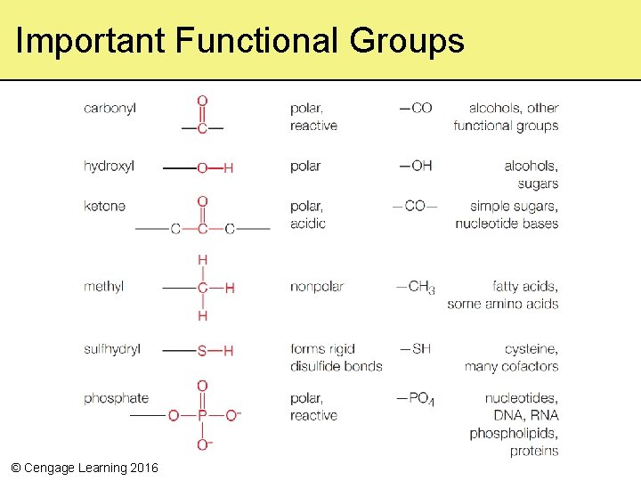 Important Functional Groups © Cengage Learning 2016 