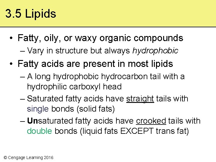 3. 5 Lipids • Fatty, oily, or waxy organic compounds – Vary in structure