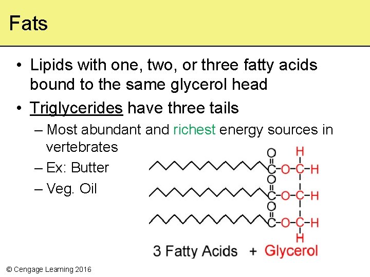 Fats • Lipids with one, two, or three fatty acids bound to the same