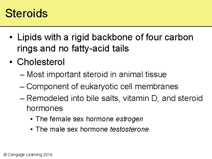 Steroids • Lipids with a rigid backbone of four carbon rings and no fatty-acid