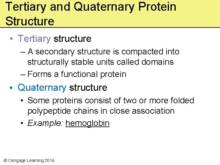 Tertiary and Quaternary Protein Structure • Tertiary structure – A secondary structure is compacted