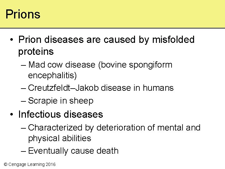 Prions • Prion diseases are caused by misfolded proteins – Mad cow disease (bovine