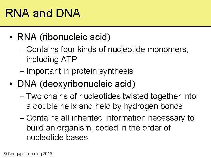 RNA and DNA • RNA (ribonucleic acid) – Contains four kinds of nucleotide monomers, RNA and DNA • RNA (ribonucleic acid) – Contains four kinds of nucleotide monomers,