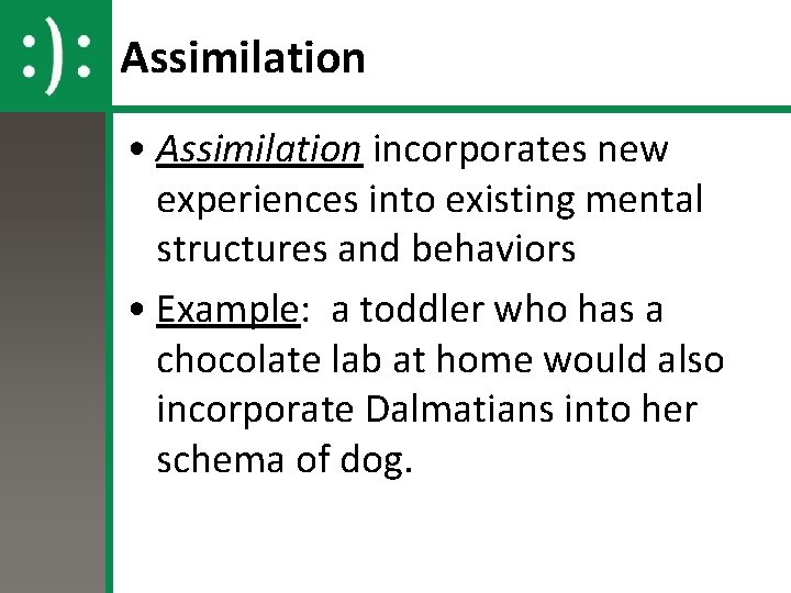 Assimilation • Assimilation incorporates new experiences into existing mental structures and behaviors • Example: