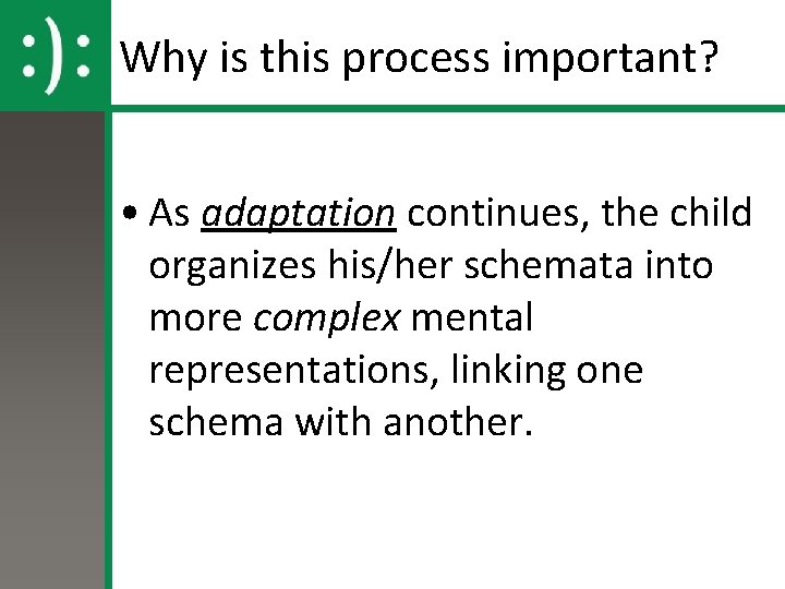 Why is this process important? • As adaptation continues, the child organizes his/her schemata