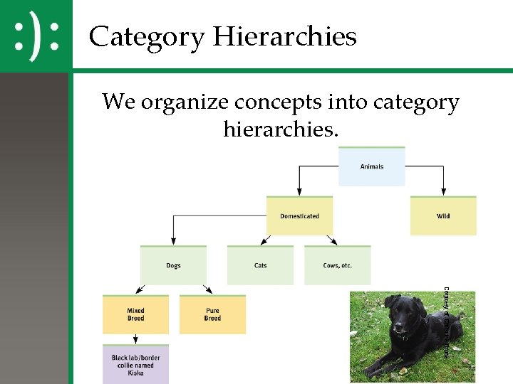 Category Hierarchies We organize concepts into category hierarchies. Courtesy of Christine Brune 