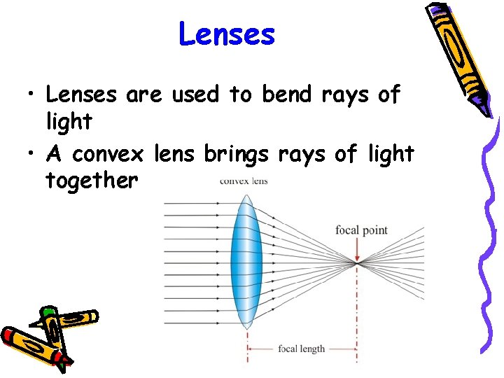 Lenses • Lenses are used to bend rays of light • A convex lens