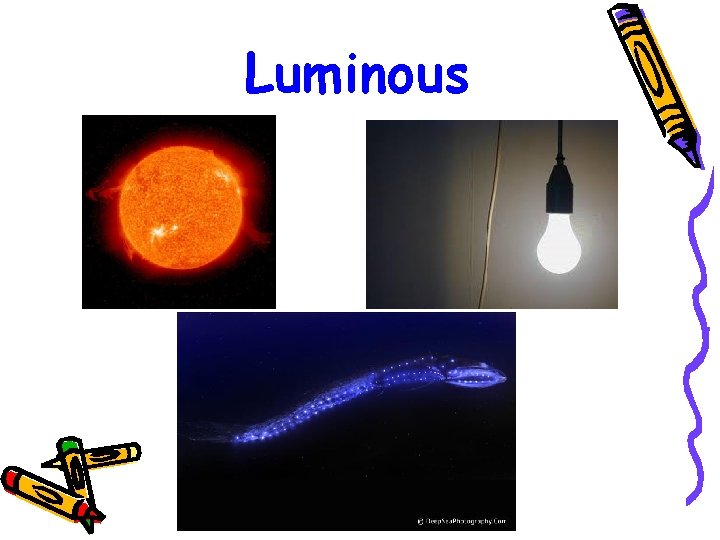 Luminous 