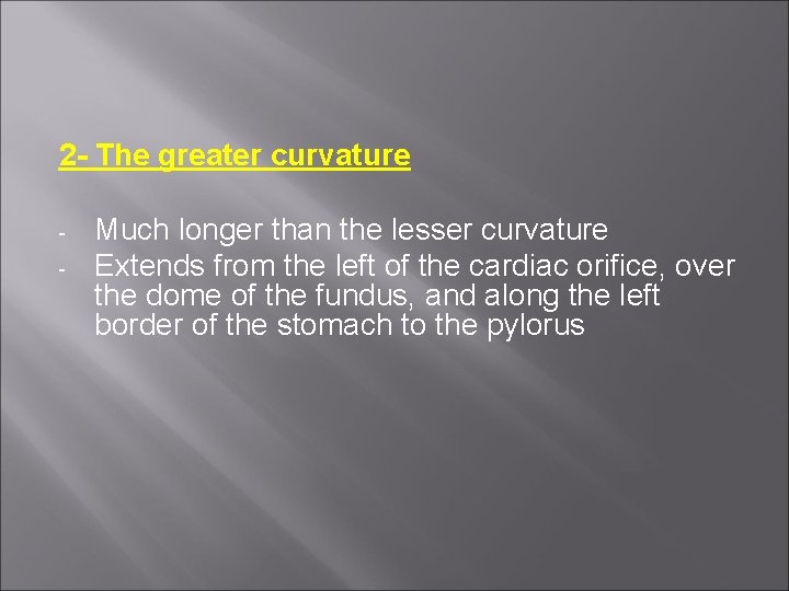 2 - The greater curvature - Much longer than the lesser curvature Extends from