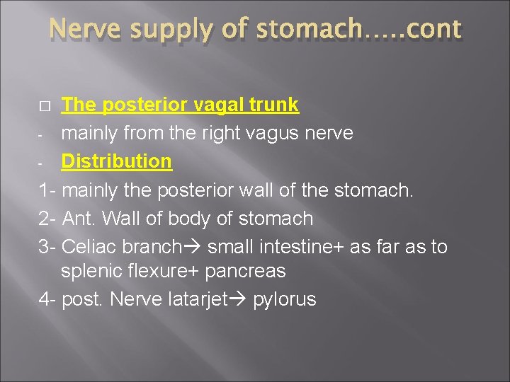 Nerve supply of stomach…. . cont The posterior vagal trunk - mainly from the